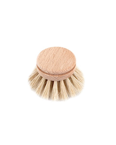 EVERYDAY DISH BRUSH